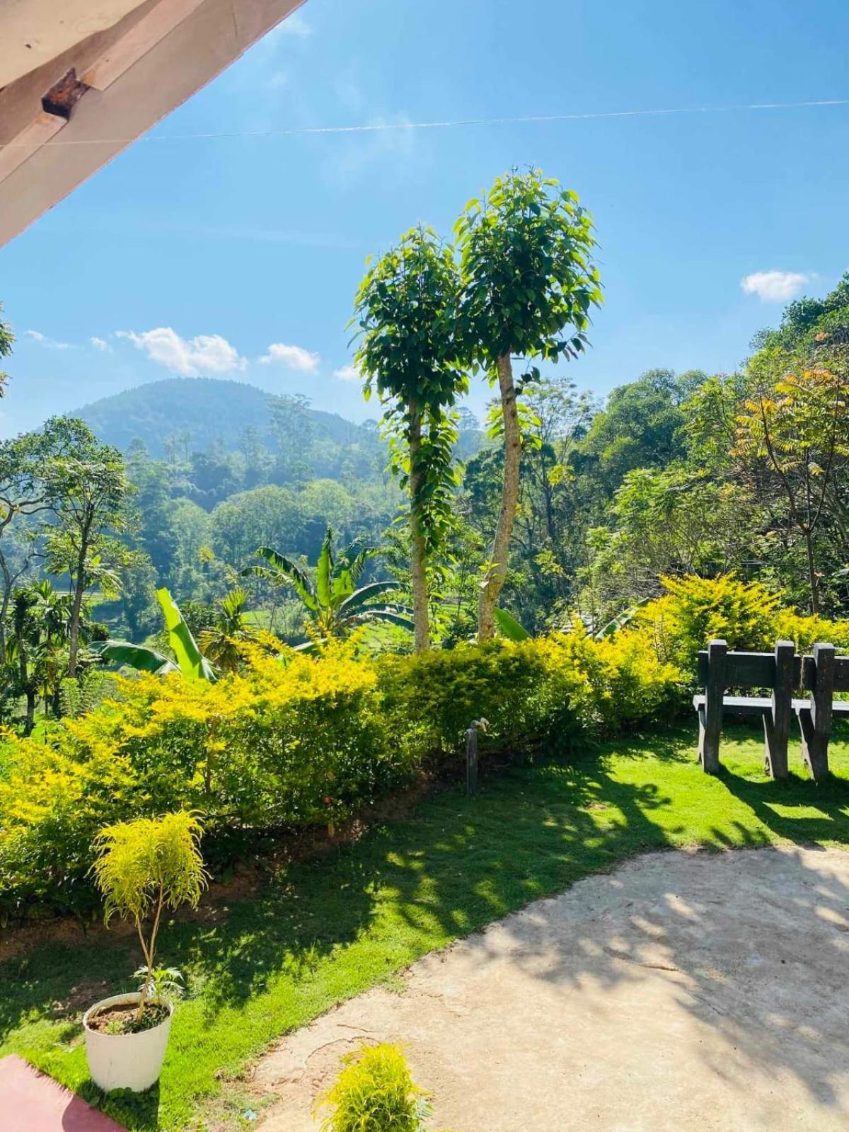 Ella Willow Cottage Bagian luar foto